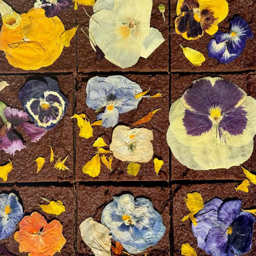 Beauty Bites | Shroomsies