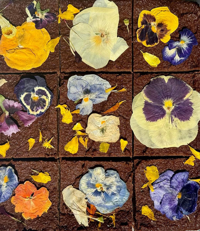 Beauty Bites | Shroomsies